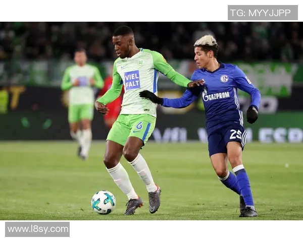 沙尔克04主场险胜德甲积分榜变化引发关注